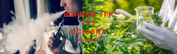 индика Арсеньев