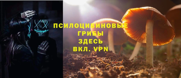 2c-b Аркадак