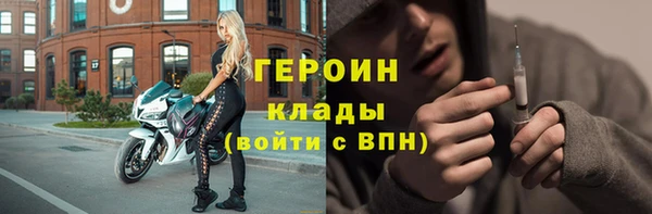 индика Арсеньев