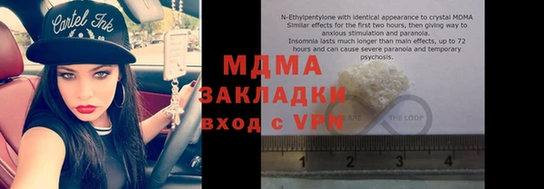 индика Арсеньев
