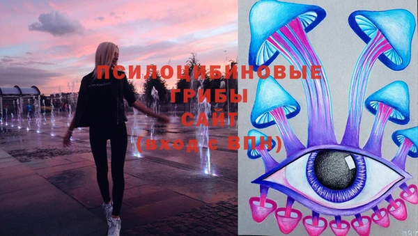 стаф Армянск