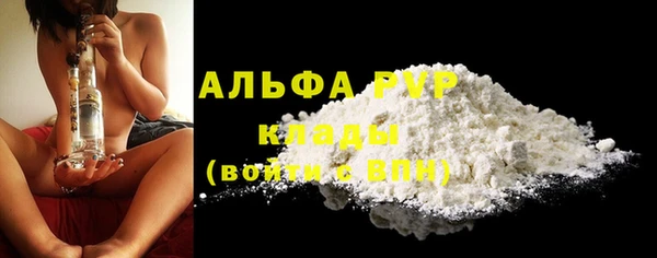 индика Арсеньев
