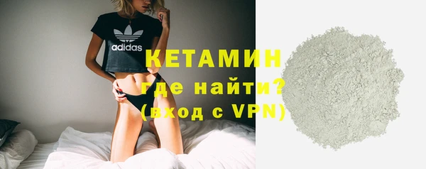 индика Арсеньев