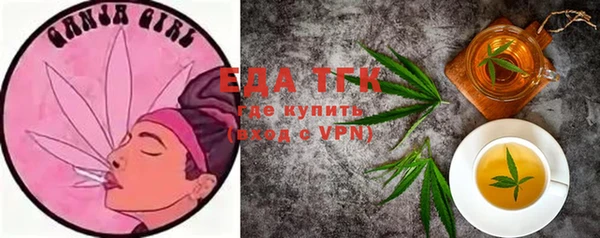 индика Арсеньев