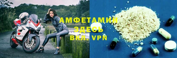 индика Арсеньев