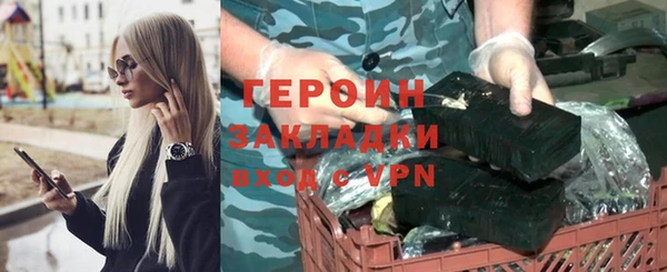индика Арсеньев