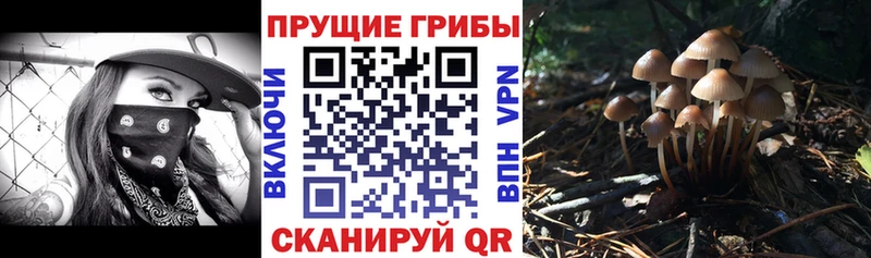 Галлюциногенные грибы прущие грибы Каргат